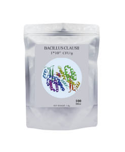 Bacillus Clausii